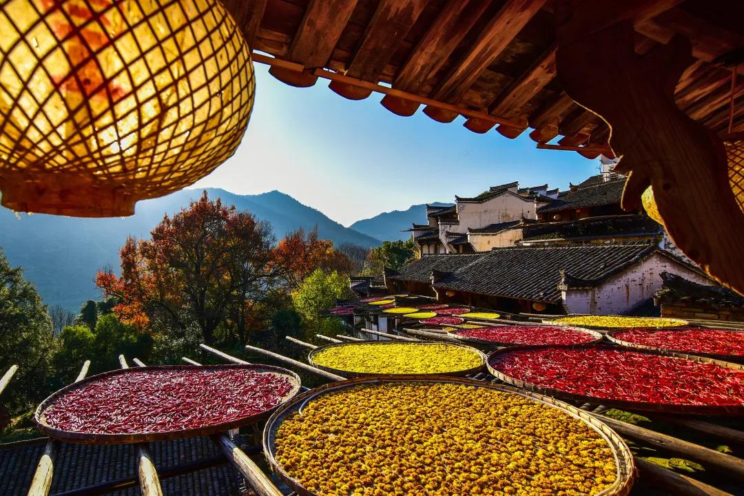 廬山、鄱陽(yáng)湖石鐘山、景德鎮(zhèn)、婺源篁嶺、三清山四日游